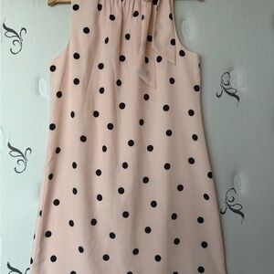 Ann Taylor Blush Dress with Black Dots